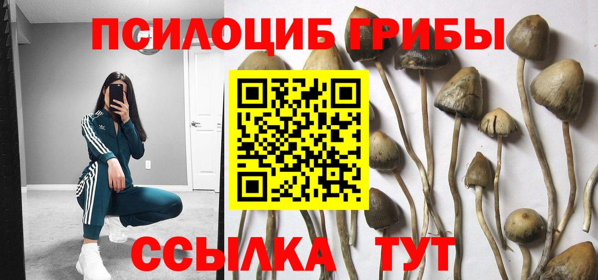 Галлюциногенные грибы прущие грибы Тула
